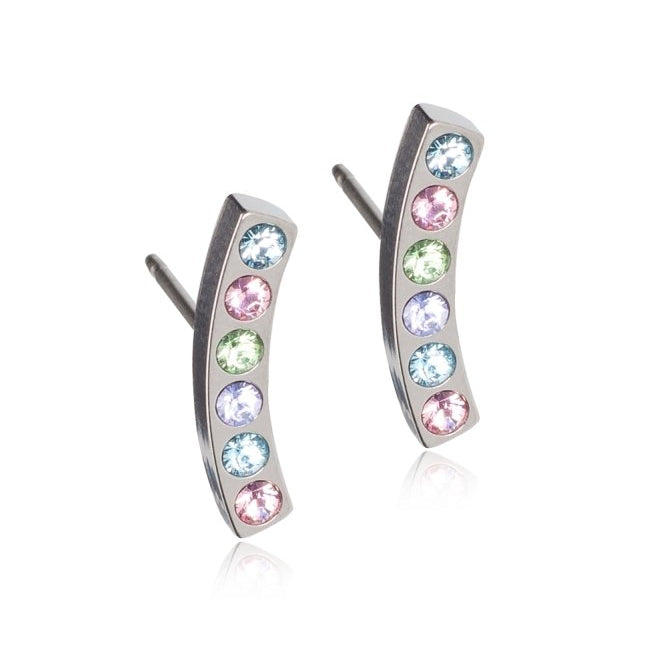 Blomdahl titanium boog zilverkleurig 14 mm met gekleurde crystalletjes (incl. achterkantjes) - Staartjes en Strikjes