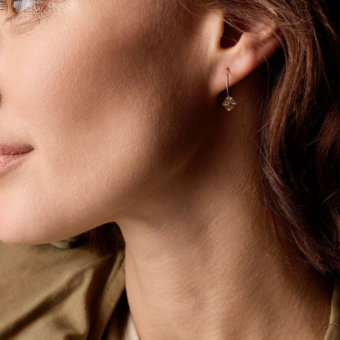 Blomdahl titanium goudkleurige oorringen golden shadow kristal – 14 mm - Staartjes en Strikjes