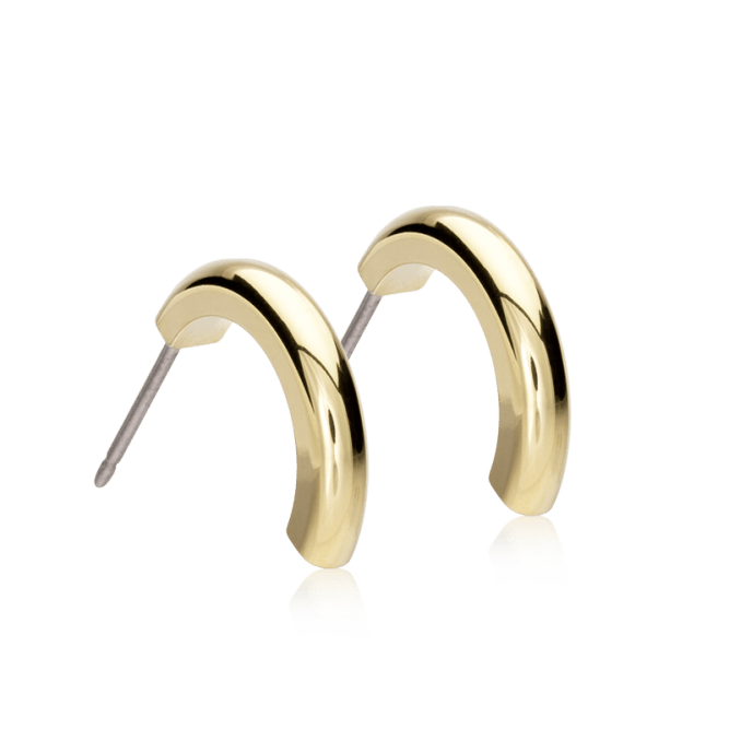 Oorbellen Blomdahl titanium boogje goudkleurig 15 mm (incl. achterkantjes) - Staartjes en Strikjes