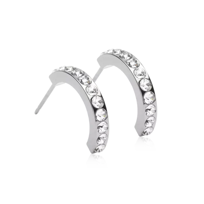 Oorbellen Blomdahl titanium boogje met crystal steentjes 15 mm. (incl. achterkantjes) - Staartjes en Strikjes