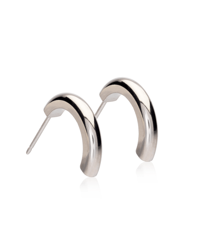 Oorbellen Blomdahl titanium boogje zilverkleurig 15 mm (incl. achterkantjes)