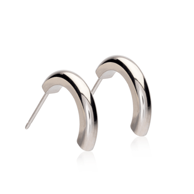 Oorbellen Blomdahl titanium boogje zilverkleurig 15 mm (incl. achterkantjes) - Staartjes en Strikjes