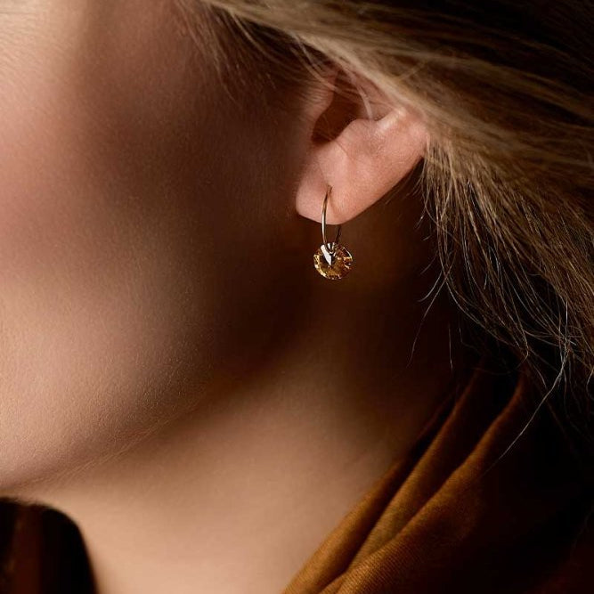 Oorbellen Blomdahl titanium goudkleurige oorringen – 14 mm bronze