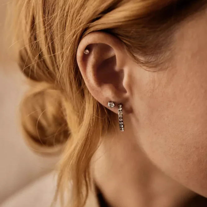 Oorbellen Blomdahl titanium knopje 4 mm. zirconiasteentje (incl. achterkantjes) - Staartjes en Strikjes