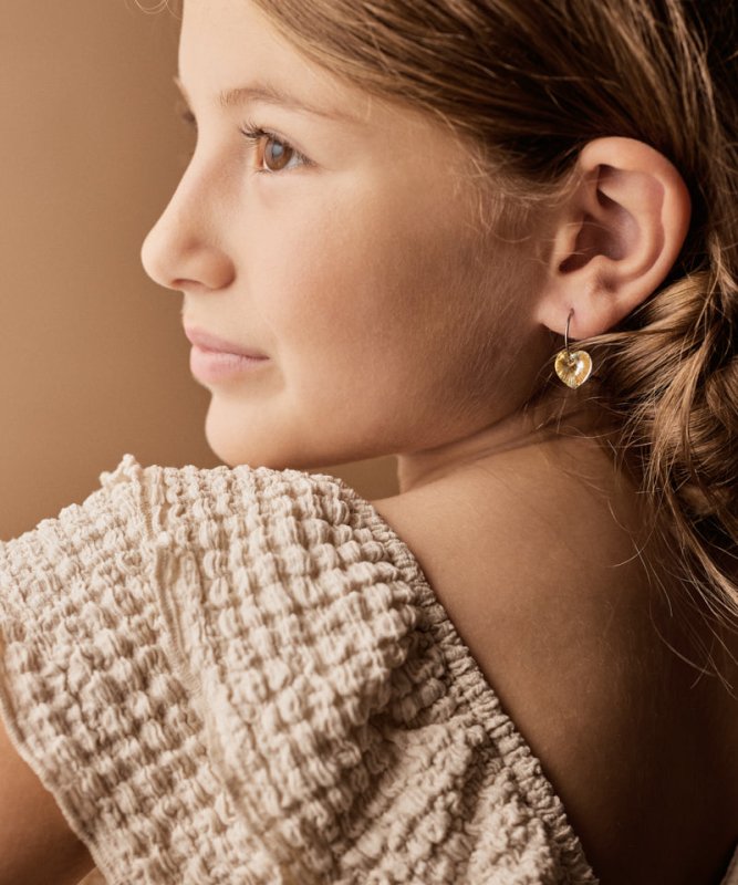 Oorbellen Blomdahl titanium oorringen 14 mm. kristal hartje rainbow - Staartjes en Strikjes