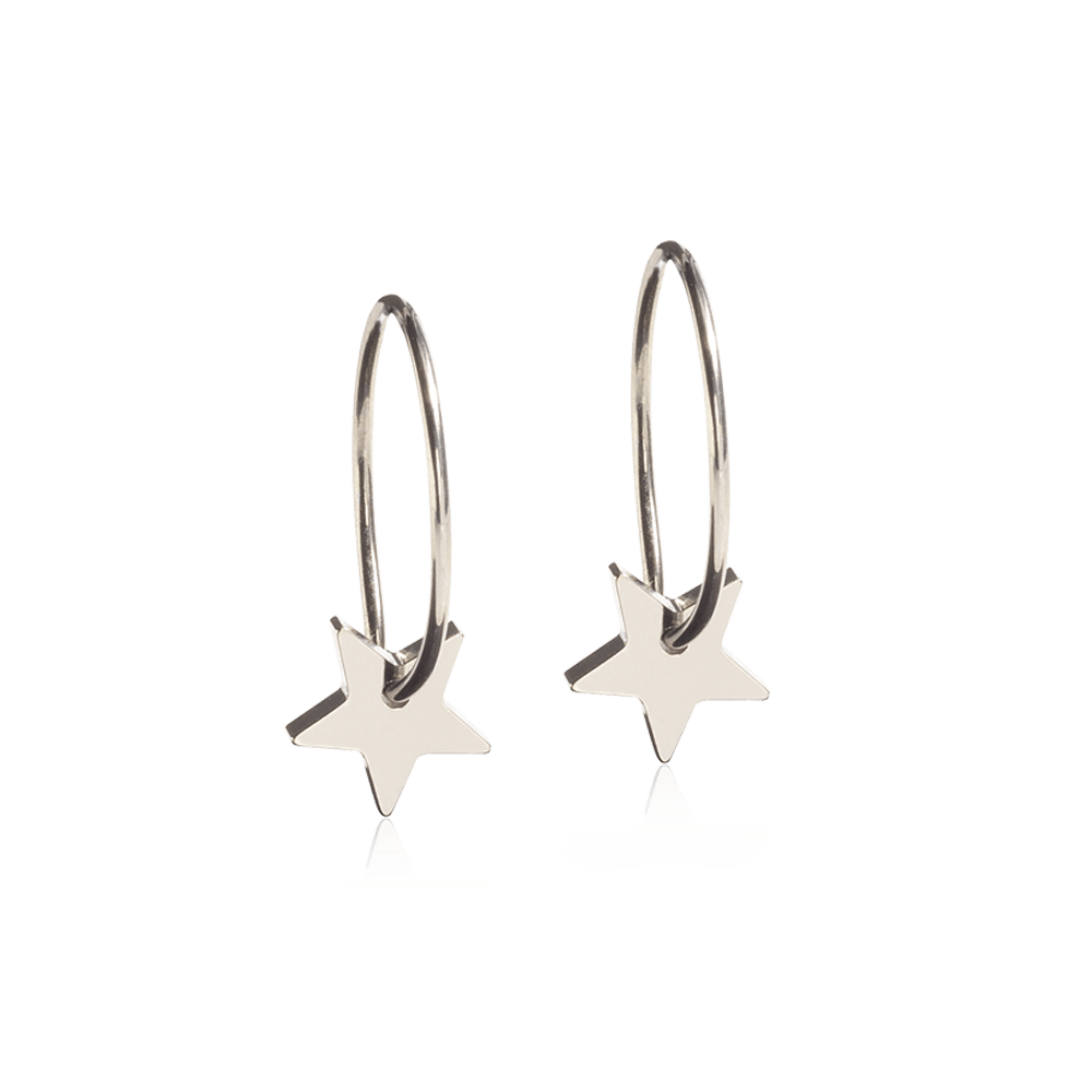 Oorbellen Blomdahl titanium oorringen 14 mm. met ster - Staartjes en Strikjes