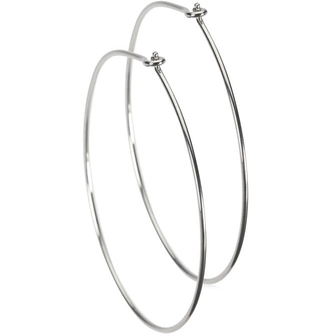Oorbellen Blomdahl titanium oorringen extra groot 35 mm. - Staartjes en Strikjes