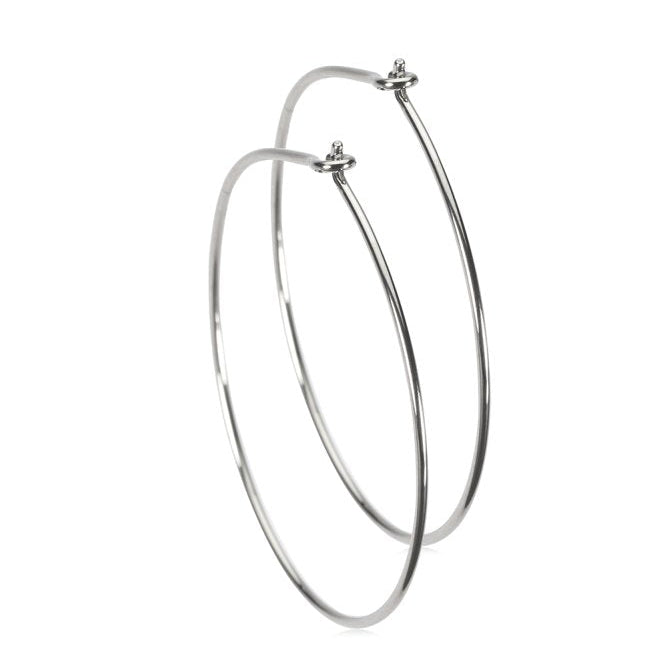 Oorbellen Blomdahl titanium oorringen groot 30 mm. - Staartjes en Strikjes
