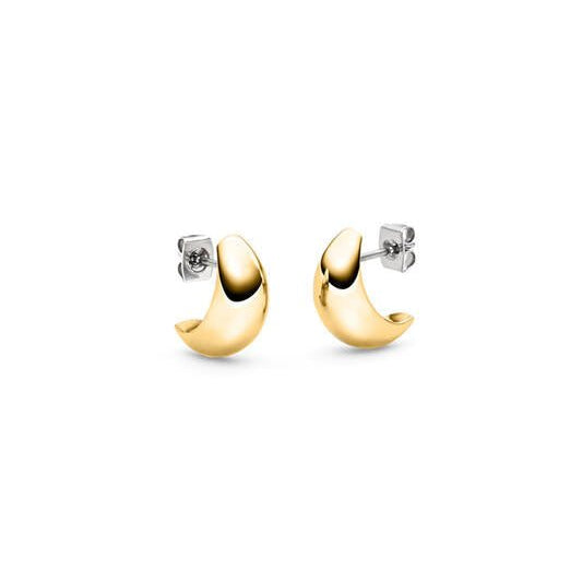 Titanium oorbellen Boccia goudkleurig boogje 15 mm. - Staartjes en Strikjes