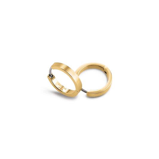 Titanium oorbellen Boccia goudkleurige oorringen 14 mm.