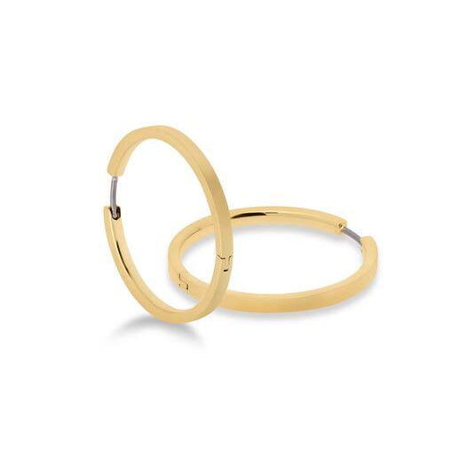 Titanium oorbellen Boccia goudkleurige oorringen 32 mm. - Staartjes en Strikjes