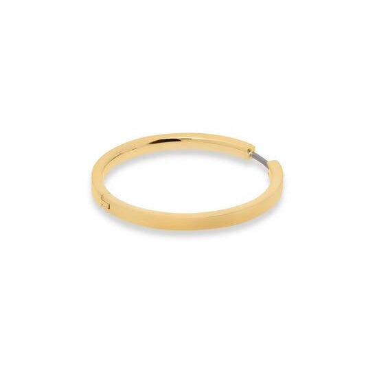 Titanium oorbellen Boccia goudkleurige oorringen 32 mm. - Staartjes en Strikjes