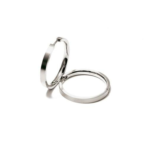 Titanium oorbellen Boccia oorringen 24 mm. - Staartjes en Strikjes