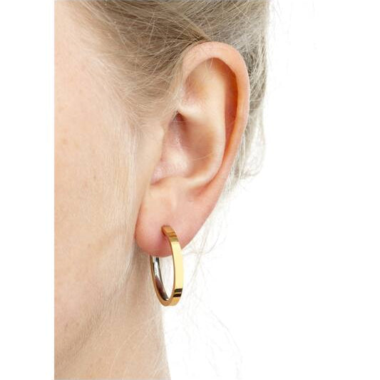 Titanium oorbellen Boccia oorringen goudkleurig 23 mm. - Staartjes en Strikjes