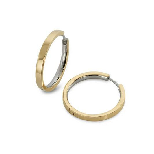 Titanium oorbellen Boccia oorringen goudkleurig 23 mm. - Staartjes en Strikjes