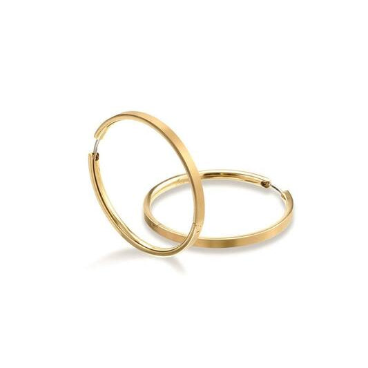 Titanium oorbellen Boccia oorringen goudkleurig 40 mm. - Staartjes en Strikjes