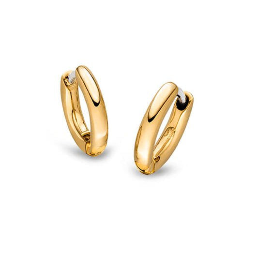 Titanium oorbellen Boccia oorringen goudkleurig rond 10 mm. - Staartjes en Strikjes