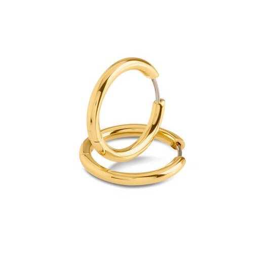 Titanium oorbellen Boccia oorringen goudkleurig rond 23 mm. - Staartjes en Strikjes