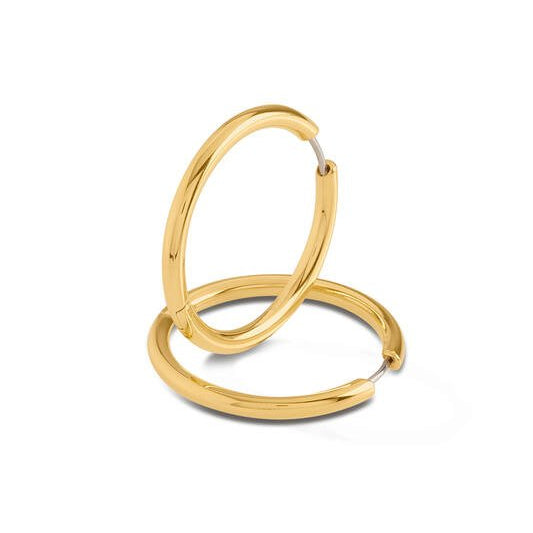 Titanium oorbellen Boccia oorringen goudkleurig rond 30 mm.