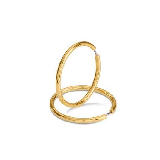 Titanium oorbellen Boccia oorringen goudkleurig rond 40 mm. - Staartjes en Strikjes