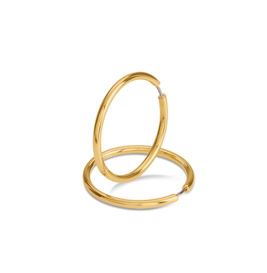 Titanium oorbellen Boccia oorringen goudkleurig rond 40 mm. - Staartjes en Strikjes