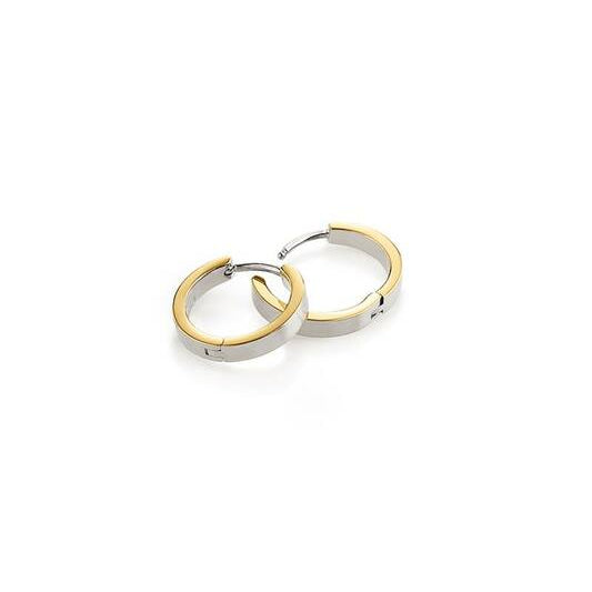 Titanium oorbellen Boccia oorringen goud/zilver 14 mm. - Staartjes en Strikjes
