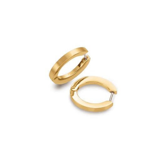Titanium oorbellen Boccia oorringen ovaal goudkleurig 20 mm. - Staartjes en Strikjes