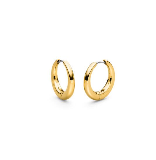 Titanium oorbellen Boccia oorringen rond breed goudkleurig 20 mm.
