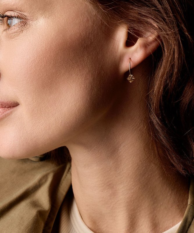 Blomdahl titanium goudkleurige oorringen golden shadow kristal – 14 mm