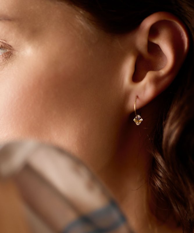 Blomdahl titanium goudkleurige oorringen met rainbow kristal – 14 mm