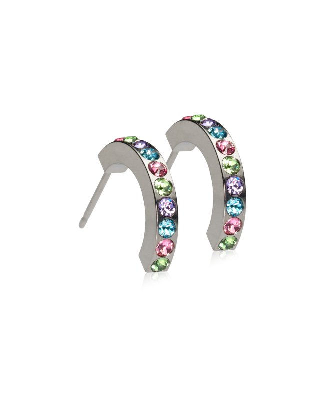 Oorbellen Blomdahl titanium boogje met gekleurde kristalletjes (incl. achterkantjes) - Staartjes en Strikjes