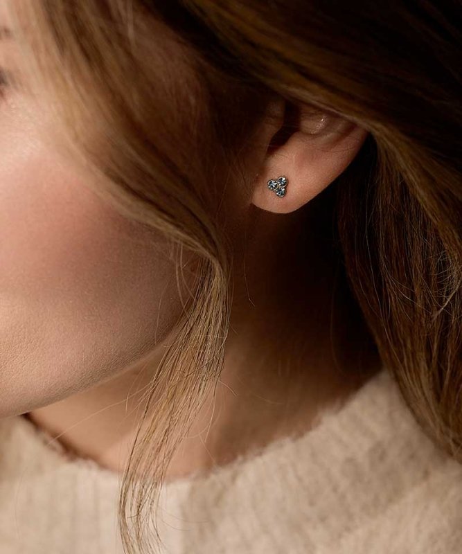 Oorbellen Blomdahl titanium goudkleurig aqua klavertje - 6 mm.