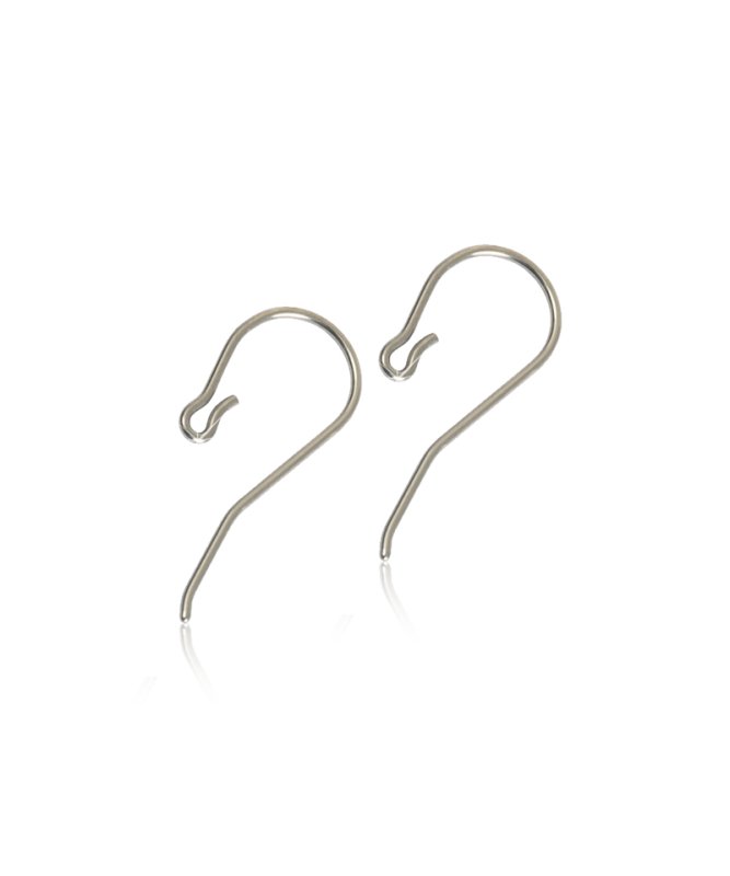 Oorbellen Blomdahl titanium oorbel haakjes 10 mm. - Staartjes en Strikjes
