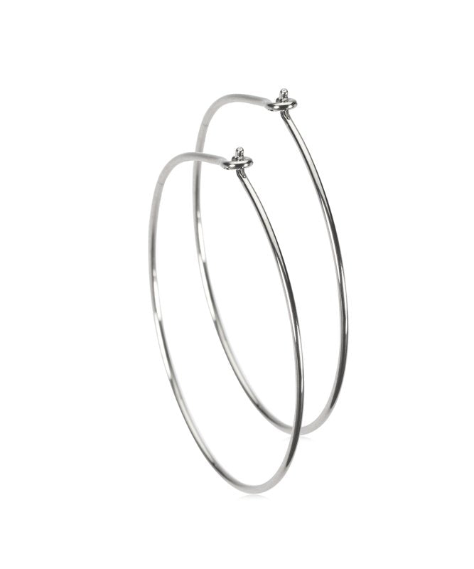 Oorbellen Blomdahl titanium oorringen groot 30 mm. - Staartjes en Strikjes