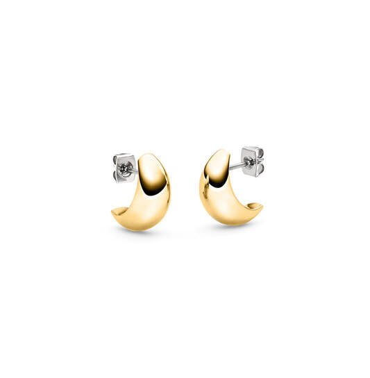 Titanium oorbellen Boccia goudkleurig boogje 15 mm. - Staartjes en Strikjes