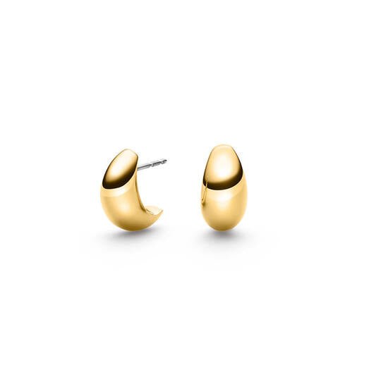 Titanium oorbellen Boccia goudkleurig boogje 15 mm. - Staartjes en Strikjes