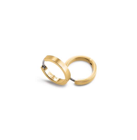 Titanium oorbellen Boccia goudkleurige oorringen 14 mm.