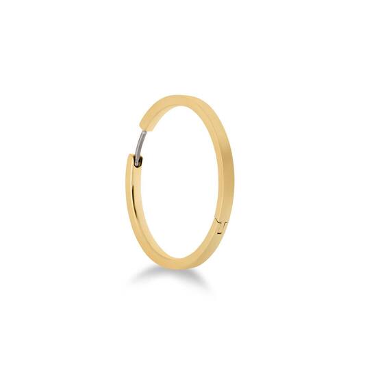 Titanium oorbellen Boccia goudkleurige oorringen 32 mm. - Staartjes en Strikjes
