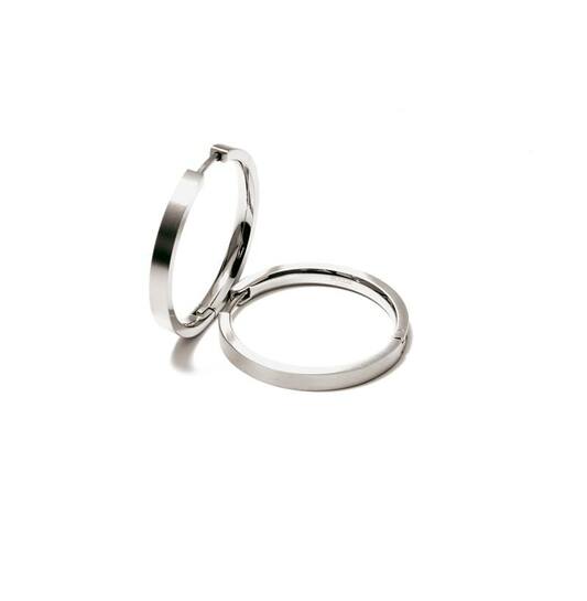 Titanium oorbellen Boccia oorringen 24 mm. - Staartjes en Strikjes