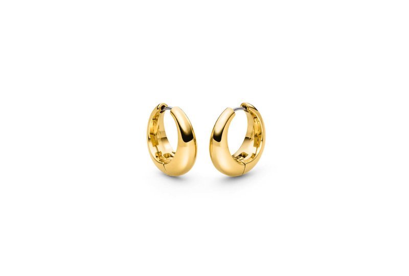 Titanium oorbellen Boccia oorringen extra breed goudkleurig 21 mm.