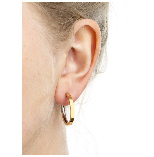 Titanium oorbellen Boccia oorringen goudkleurig 23 mm. - Staartjes en Strikjes