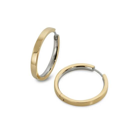 Titanium oorbellen Boccia oorringen goudkleurig 23 mm. - Staartjes en Strikjes