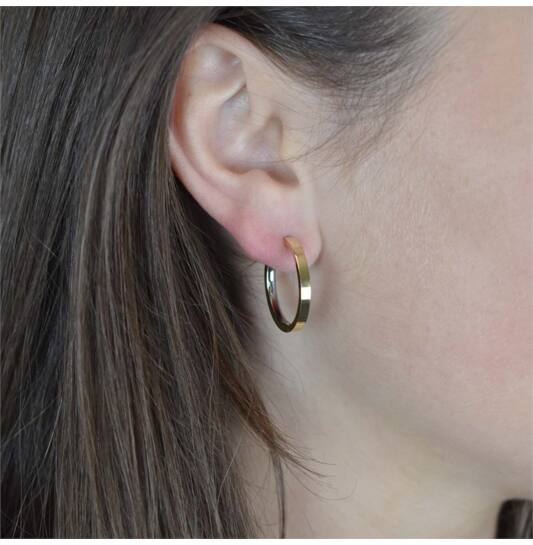 Titanium oorbellen Boccia oorringen goudkleurig 23 mm. - Staartjes en Strikjes