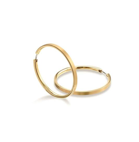Titanium oorbellen Boccia oorringen goudkleurig 40 mm. - Staartjes en Strikjes