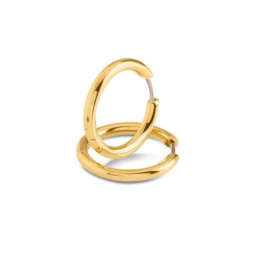 Titanium oorbellen Boccia oorringen goudkleurig rond 23 mm. - Staartjes en Strikjes