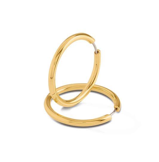 Titanium oorbellen Boccia oorringen goudkleurig rond 30 mm.