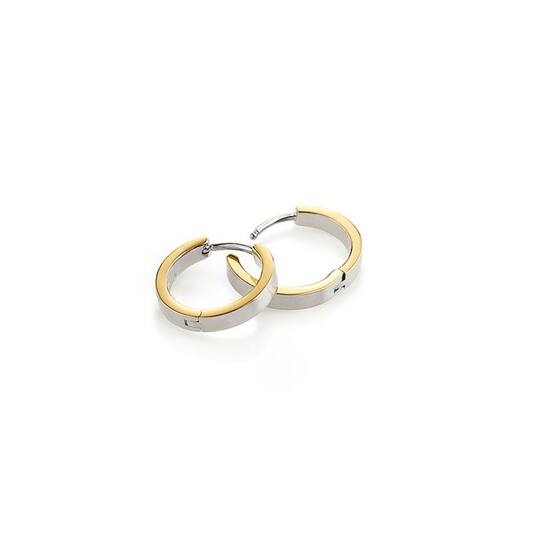 Titanium oorbellen Boccia oorringen goud/zilver 14 mm. - Staartjes en Strikjes