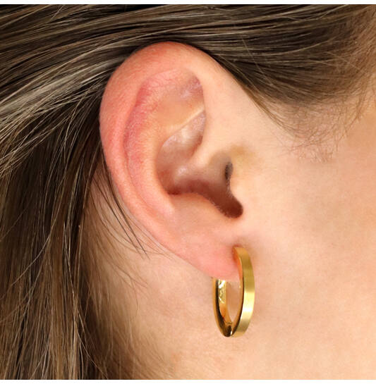 Titanium oorbellen Boccia oorringen ovaal goudkleurig 20 mm. - Staartjes en Strikjes