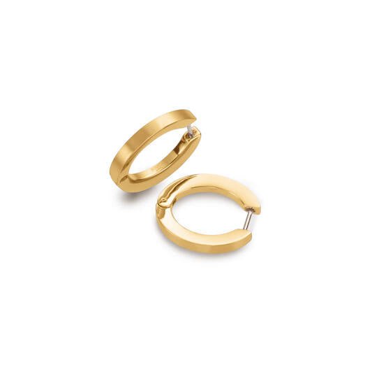 Titanium oorbellen Boccia oorringen ovaal goudkleurig 20 mm. - Staartjes en Strikjes